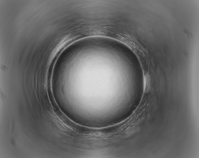 X0000090920195200708061550