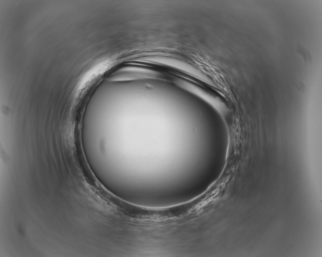 X0000090920197200708061550