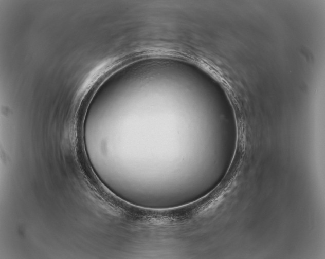 X0000090920199200708061550