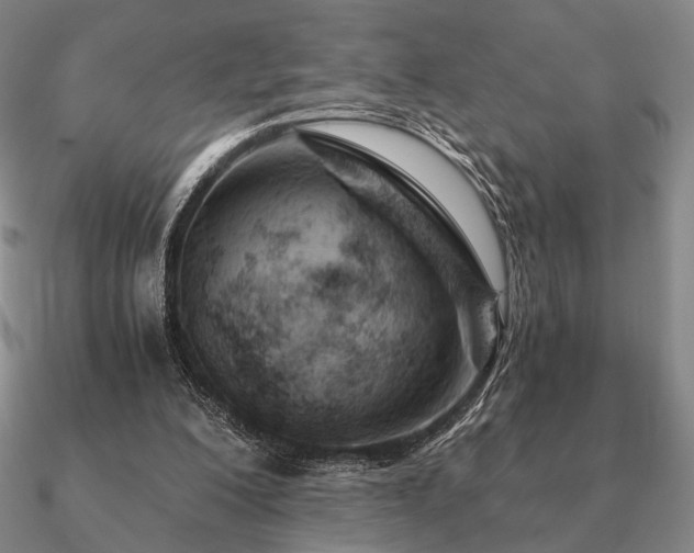 X0000090920200200708061550