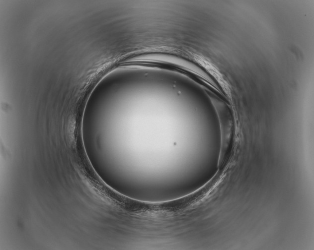 X0000090920201200708061550