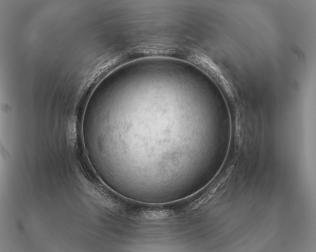 X0000090920202200708061550