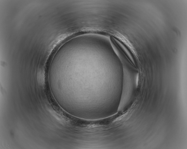 X0000090920204200708061550