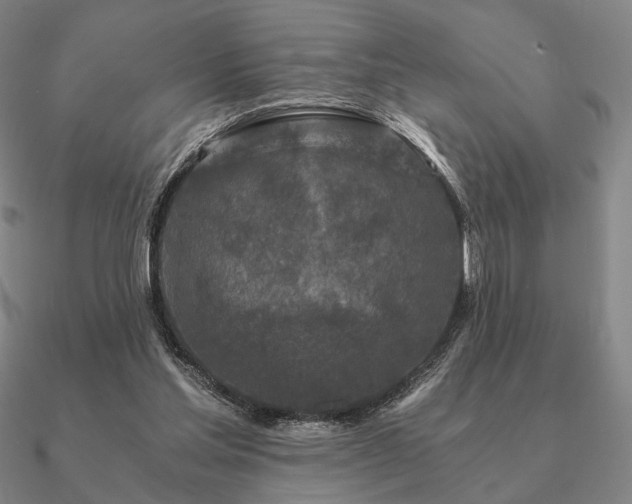 X0000090920205200708061550