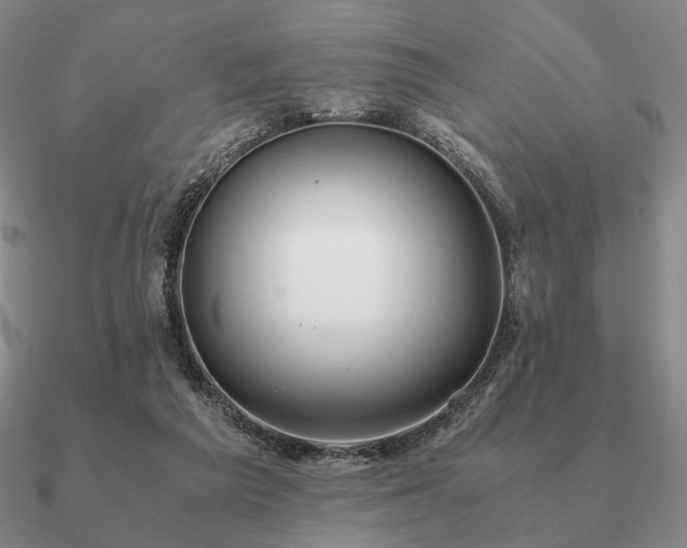 X0000090920209200708061550