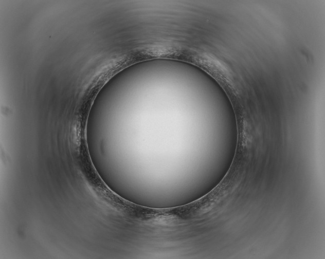 X0000090920210200708061550