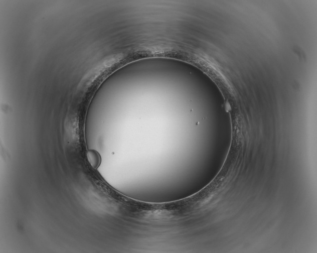 X0000090920212200708061550