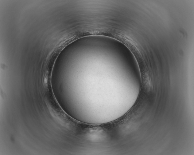 X0000090920214200708061550