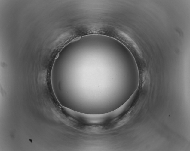 X0000090920217200708061550