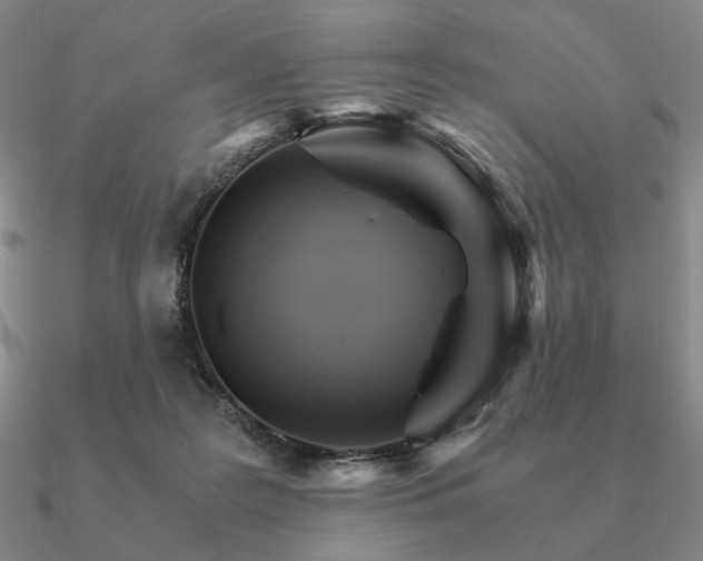 X0000090920219200708061549