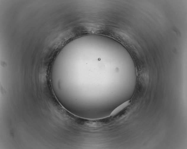 X0000090920221200708061549