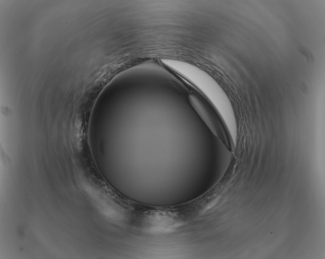 X0000090920223200708061549