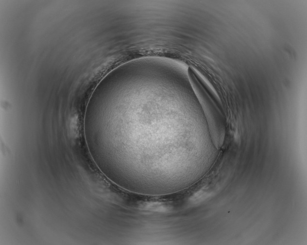 X0000090920224200708061549