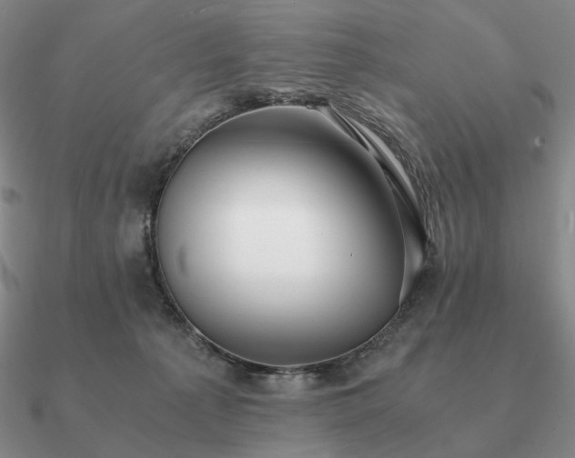 X0000090920225200708061549