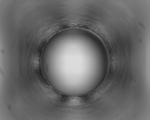 X0000090920226200708061549