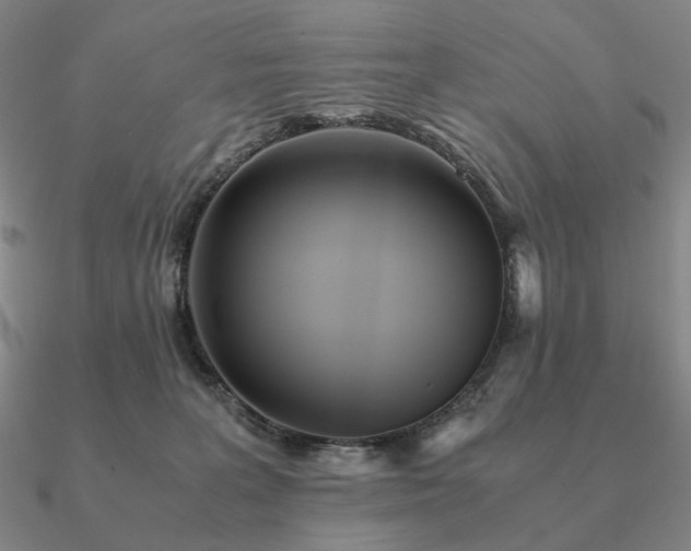 X0000090920227200708061549