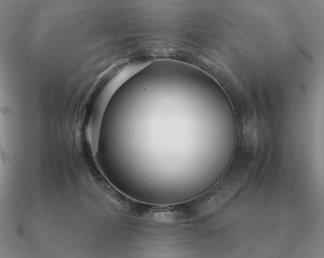 X0000090920228200708061549