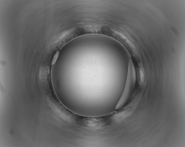 X0000090920229200708061549