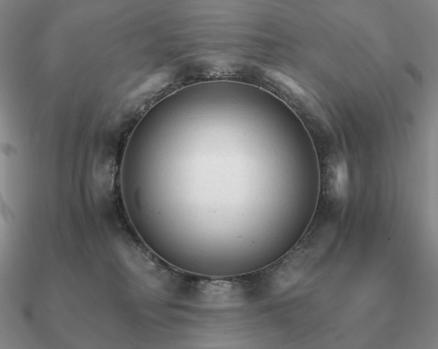 X0000090920230200708061549