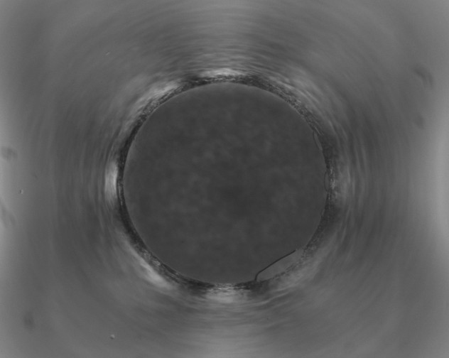 X0000090920231200708061549