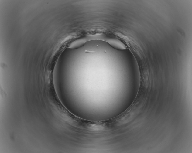 X0000090920232200708061549