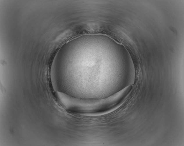 X0000090920233200708061549