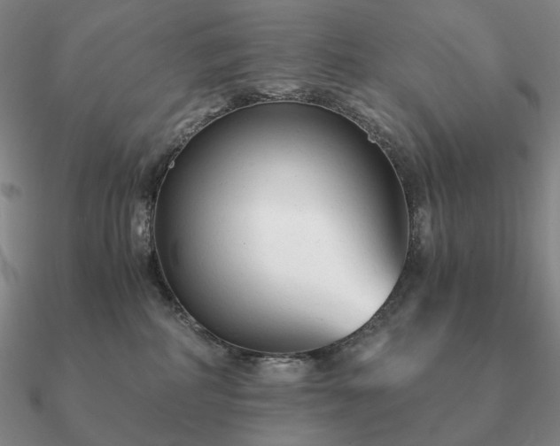 X0000090920234200708061549