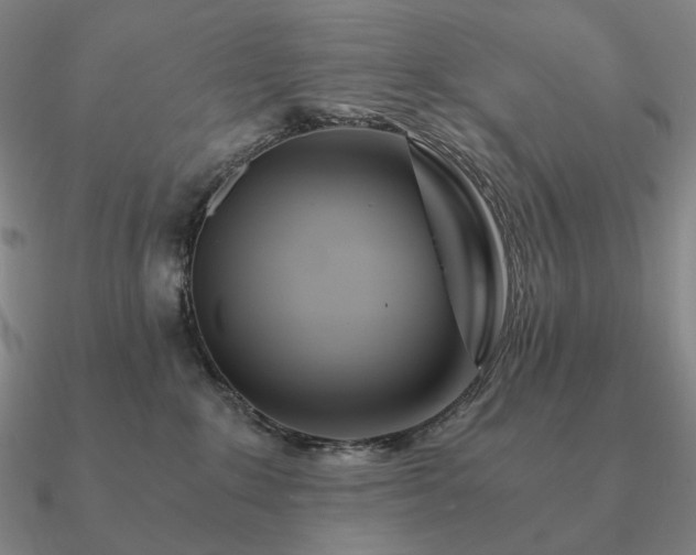 X0000090920235200708061549