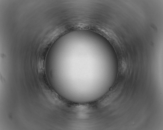 X0000090920236200708061549