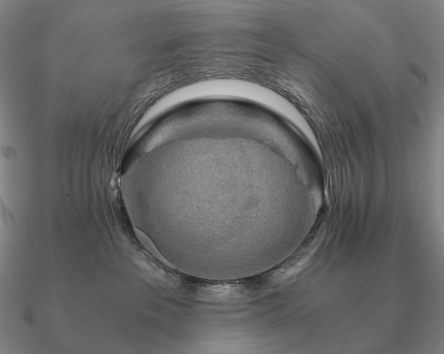 X0000090920237200708061549