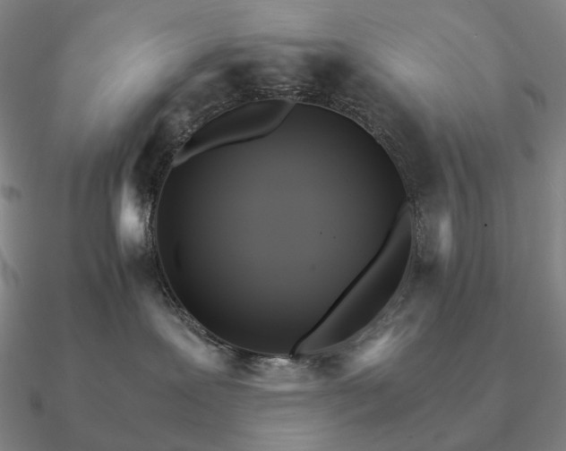 X0000090920239200708061549