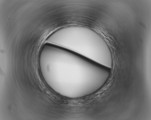 X0000090920241200708061548