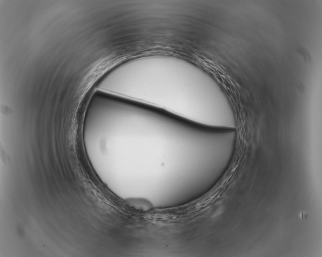 X0000090920242200708061548