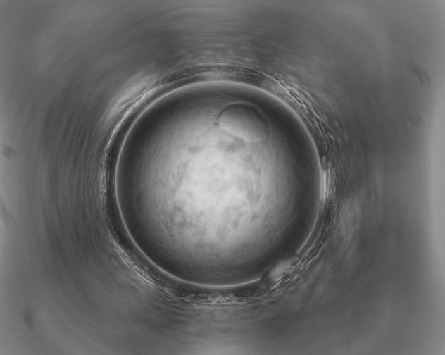 X0000090920243200708061548