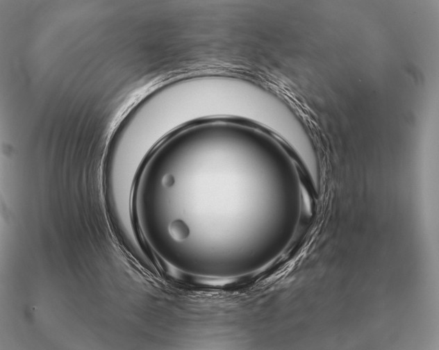 X0000090920244200708061548