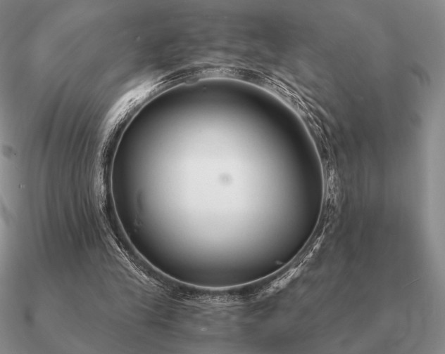 X0000090920245200708061548