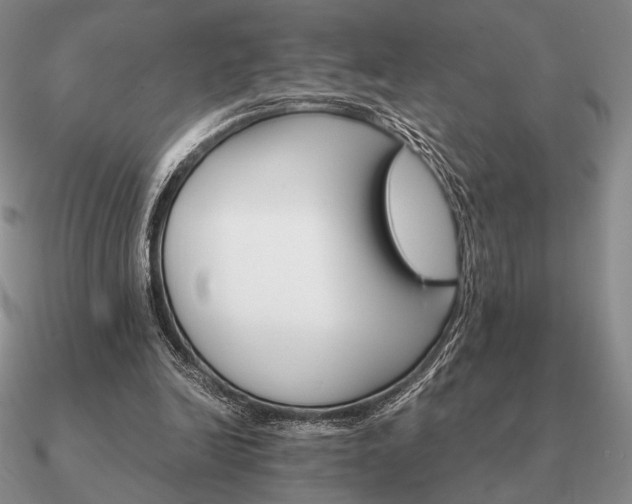 X0000090920246200708061548