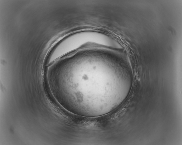 X0000090920247200708061548