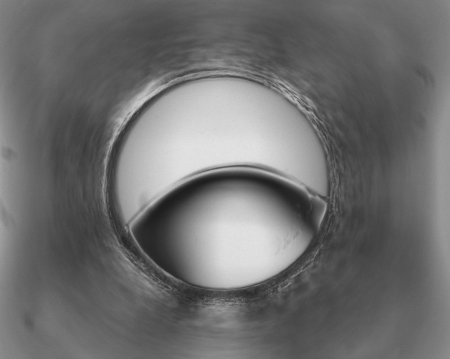 X0000090920248200708061548