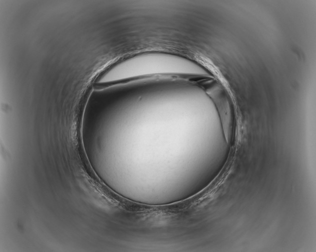 X0000090920249200708061548