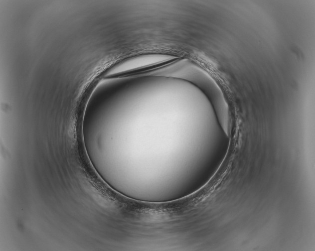 X0000090920250200708061548