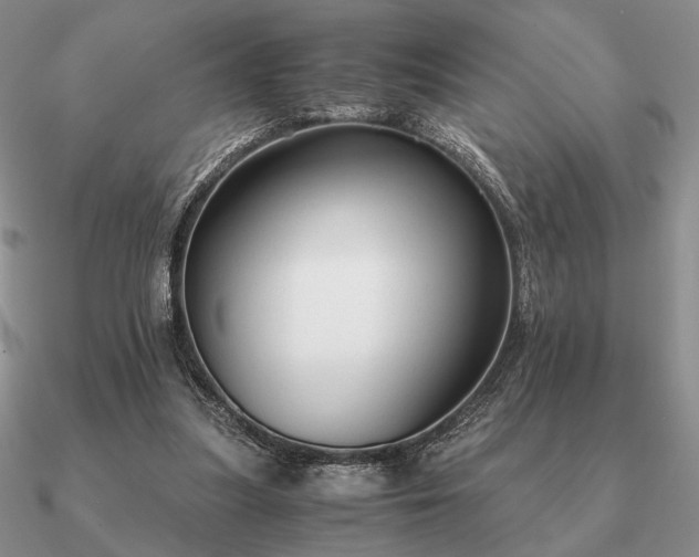 X0000090920251200708061548