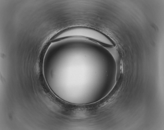 X0000090920252200708061548