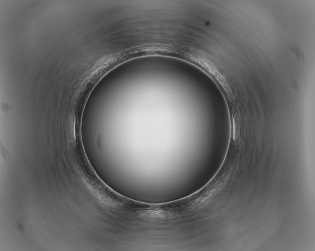 X0000090920253200708061548