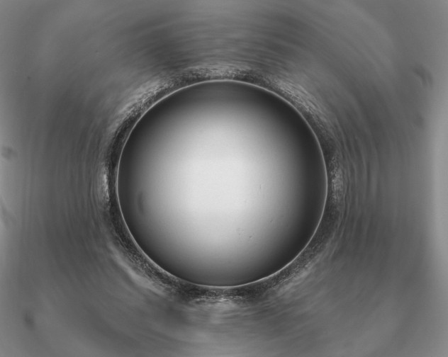 X0000090920254200708061548