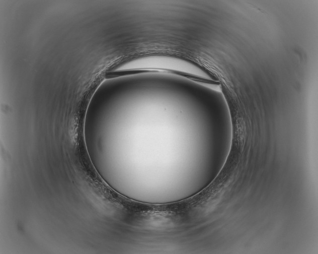 X0000090920255200708061549