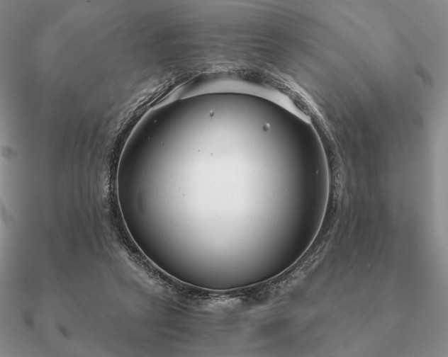 X0000090920257200708061549