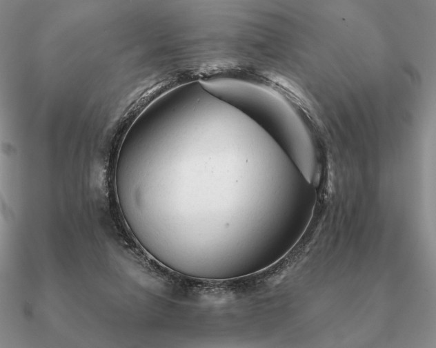 X0000090920258200708061549