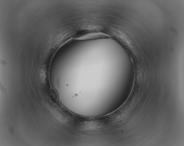 X0000090920259200708061549