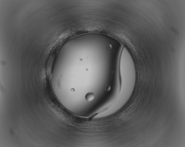 X0000090920260200708061549